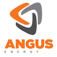 ANGS logo