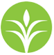 CF logo