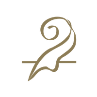 NOAH logo
