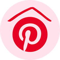PINS logo