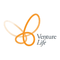 VLG logo