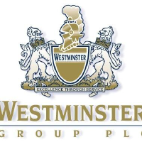 WSG logo